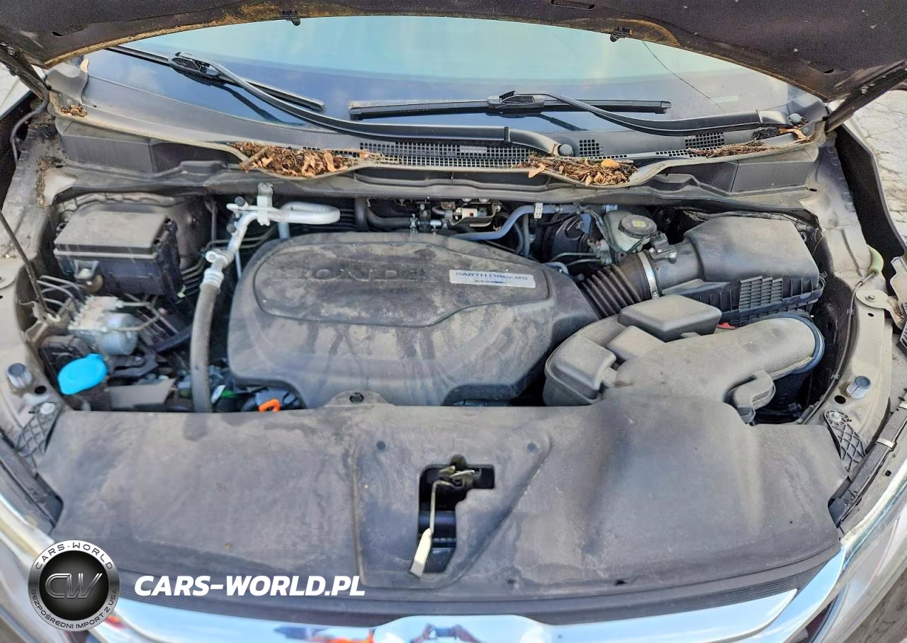 2019 Honda Odyssey Exl VIN:5FNRL6H76KB087264 - 12