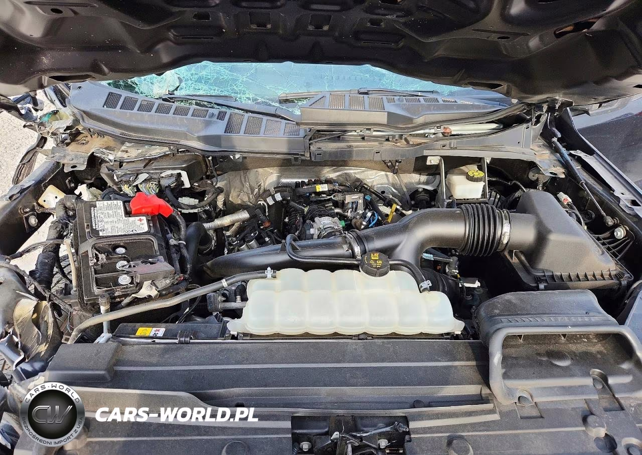 2023 Ford F150 Supercrew VIN:1FTEW1CP6PKG19574 - 11