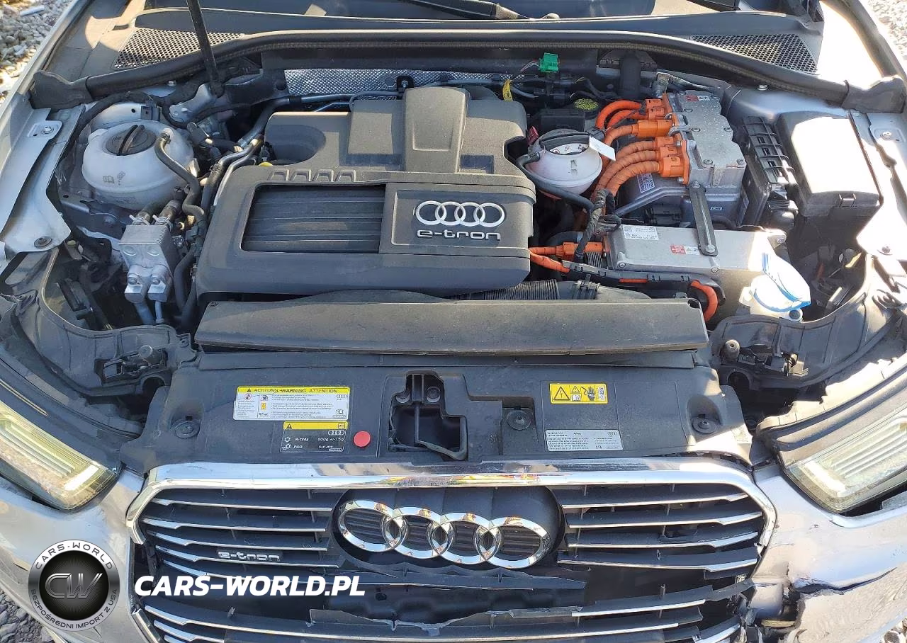 2016 Audi A3 E-Tron Premium Plus VIN:WAUTPBFF1GA126336 - 11