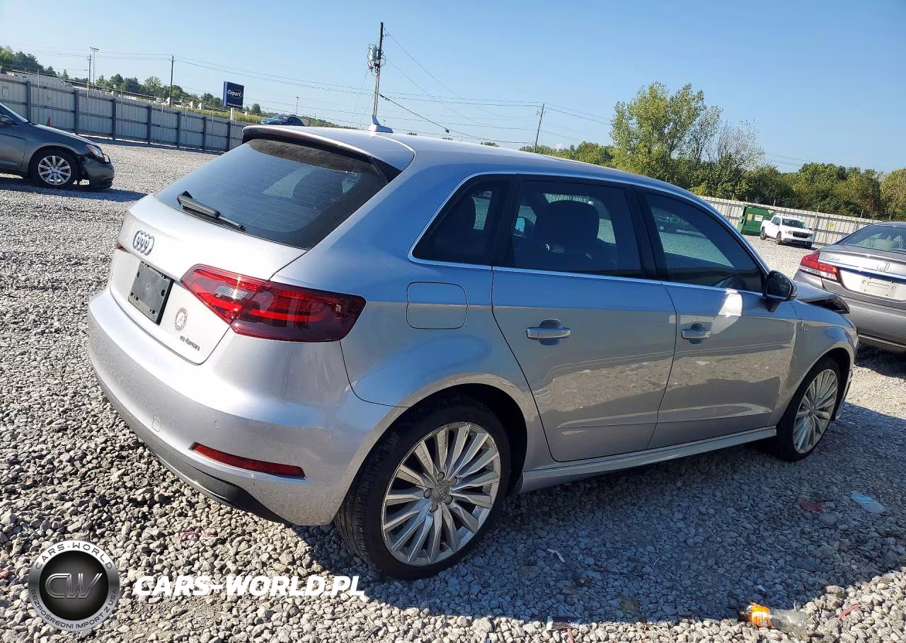 2016 Audi A3 E-Tron Premium Plus VIN:WAUTPBFF1GA126336 - 3