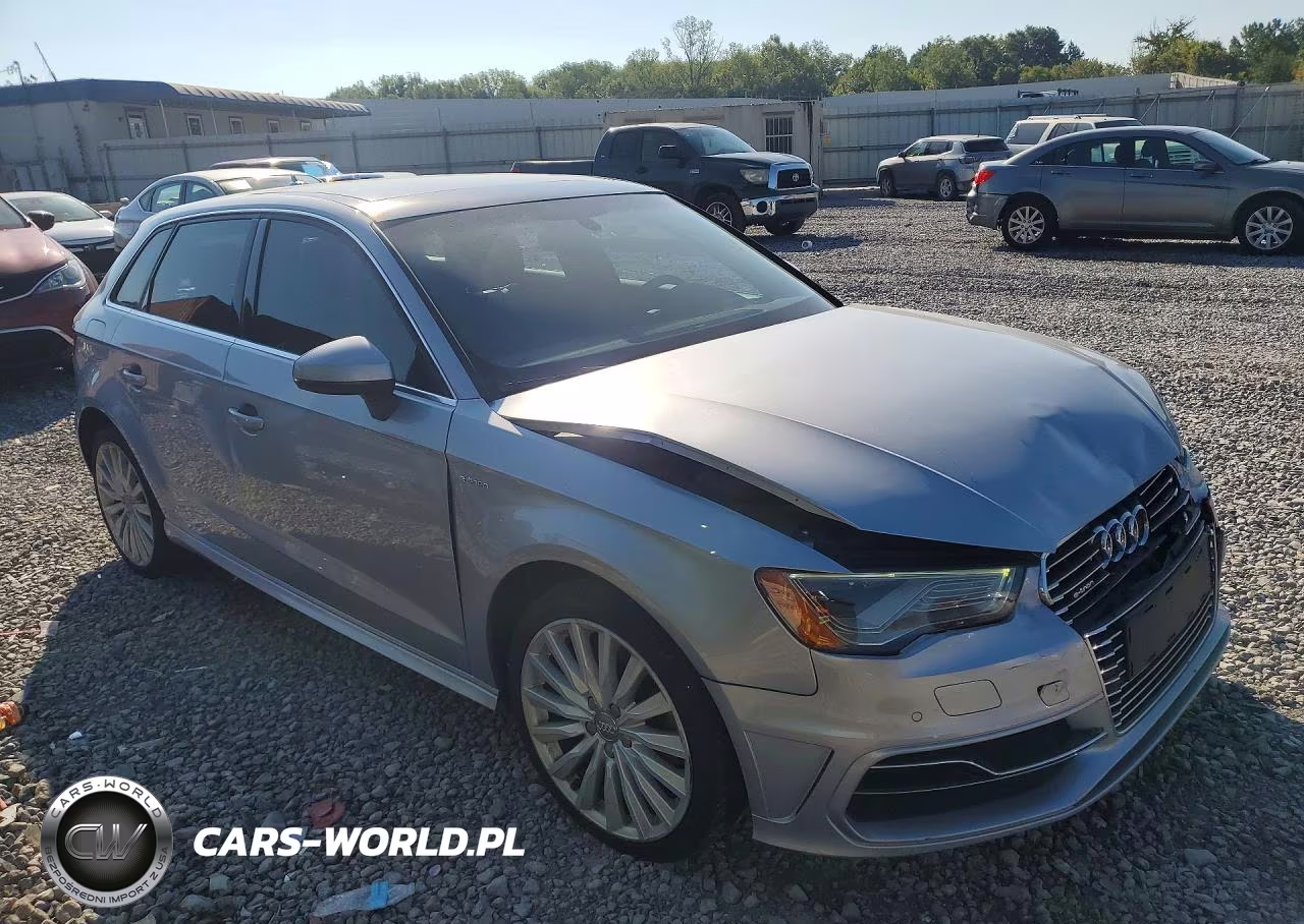 2016 Audi A3 E-Tron Premium Plus VIN:WAUTPBFF1GA126336 - 4