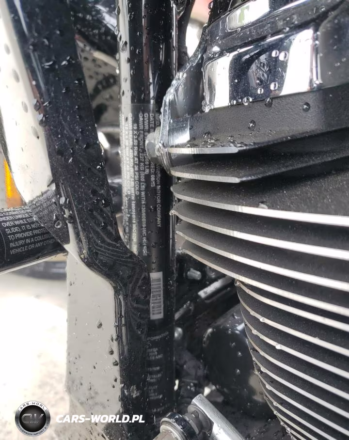 2019 Harley-Davidson Fltrxs VIN:1HD1KTP17KB609574 - 9