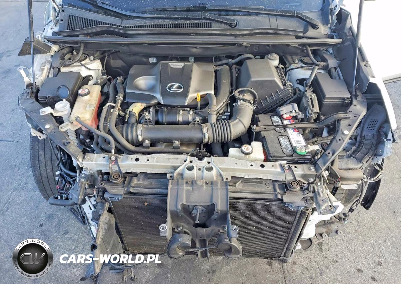 2019 Lexus Nx 300 Base VIN:JTJYARBZ1K2124475 - 11