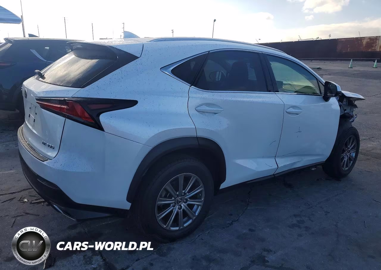 2019 Lexus Nx 300 Base VIN:JTJYARBZ1K2124475 - 3