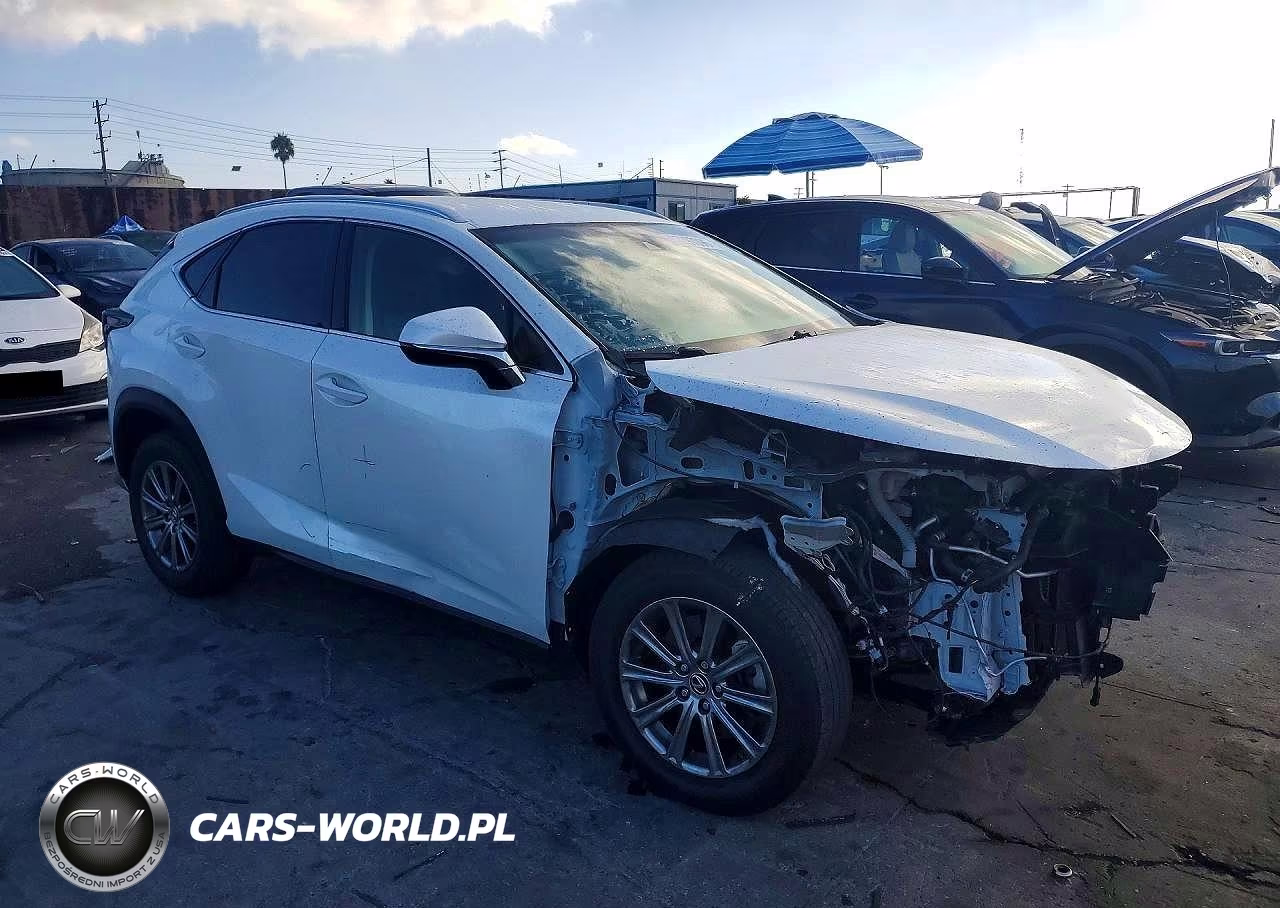 2019 Lexus Nx 300 Base VIN:JTJYARBZ1K2124475 - 4