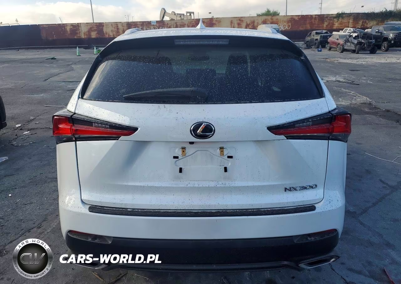 2019 Lexus Nx 300 Base VIN:JTJYARBZ1K2124475 - 6