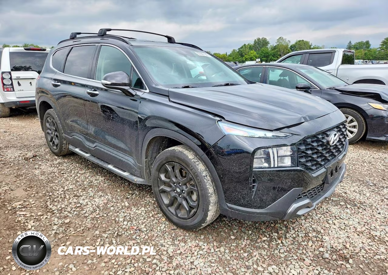 2022 Hyundai Santa Fe Xrt VIN:5NMS6DAJ1NH404437 - 4