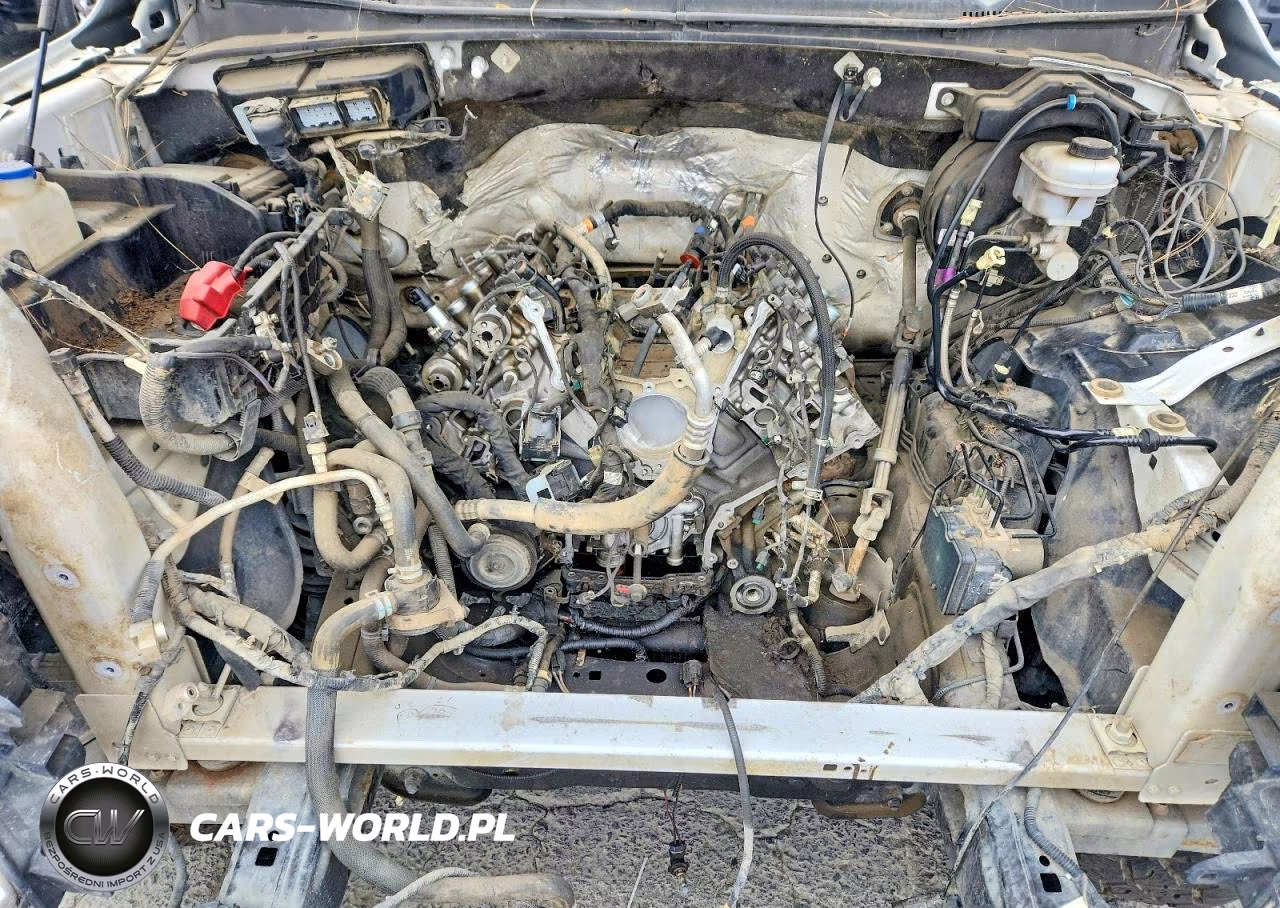2020 Ford F150 Supercrew VIN:1FTFW1E55LKE00146 - 11