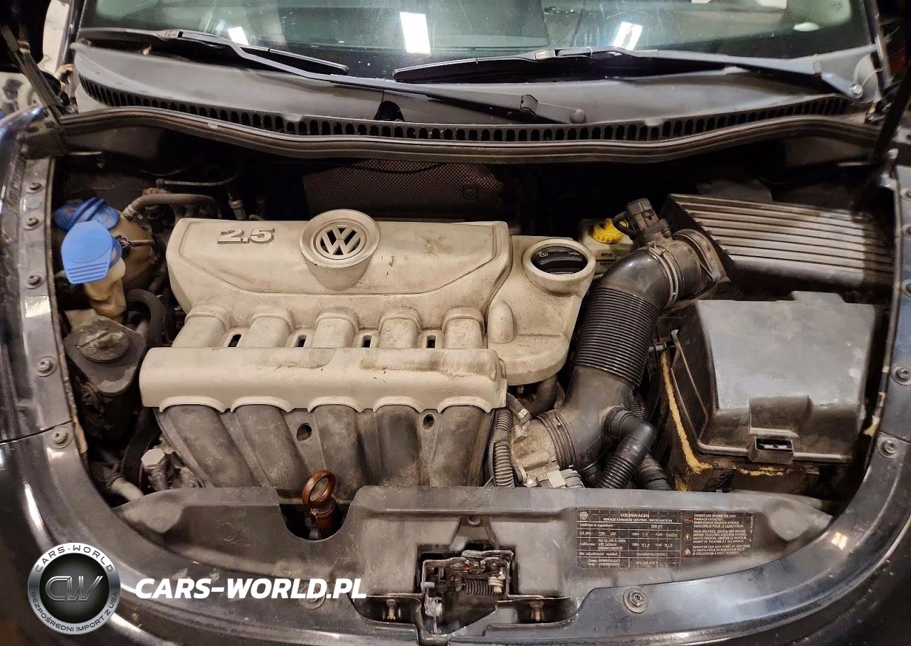 2010 Volkswagen New Beetle VIN:3VWPW3AG0AM019007 - 11