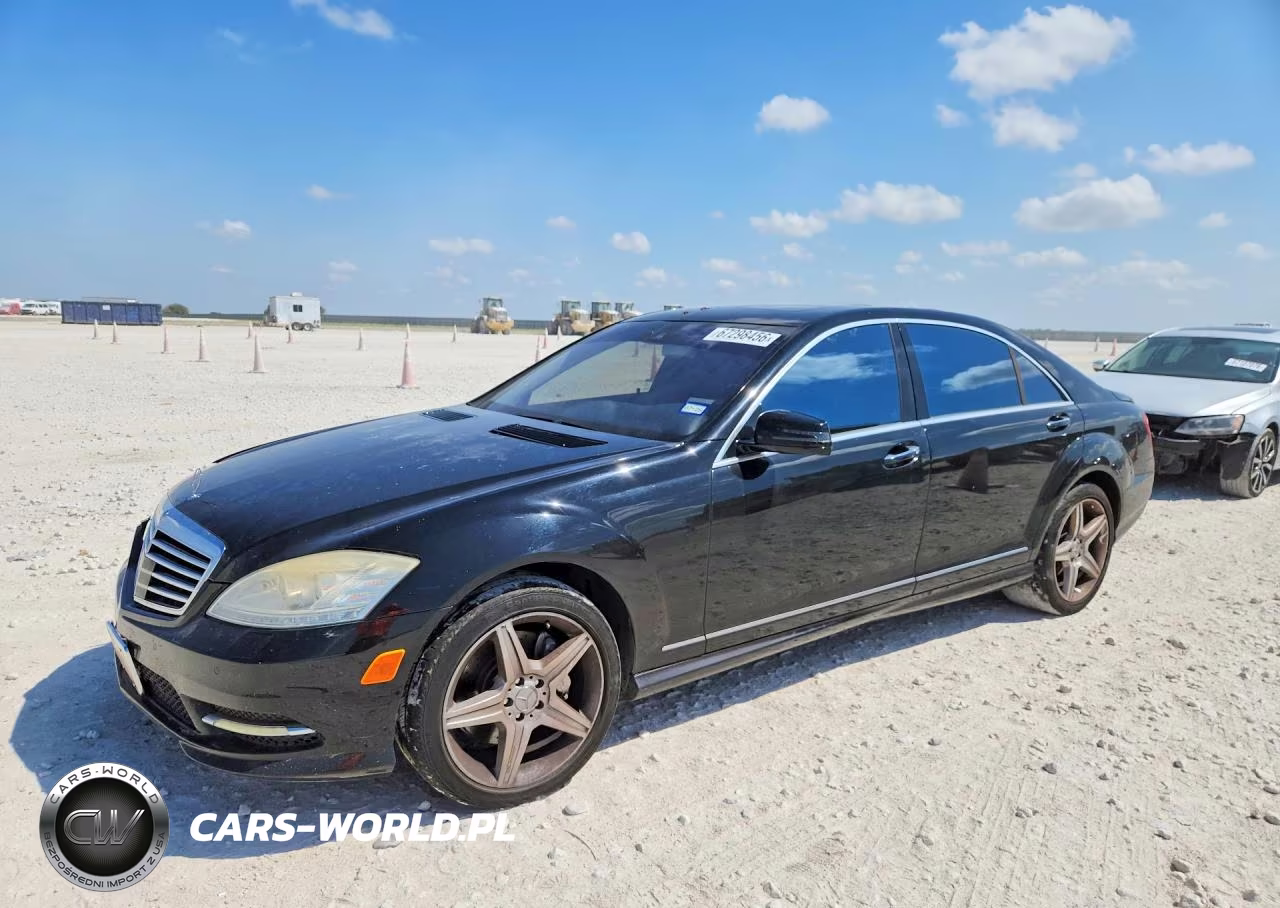 2010 MERCEDES-BENZ S 550