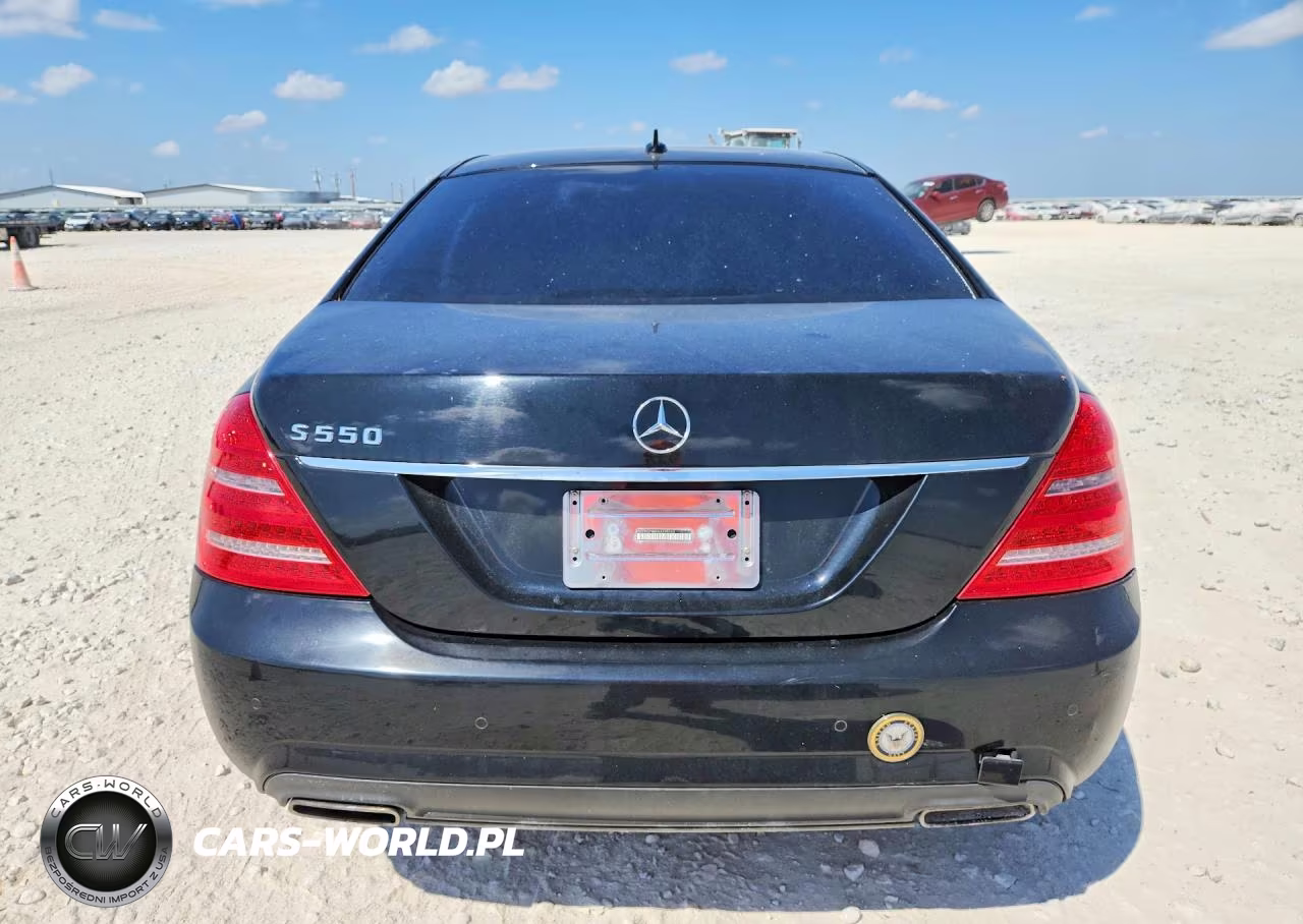 2010 MERCEDES-BENZ S 550 VIN:WDDNG7BB4AA295243 - 6