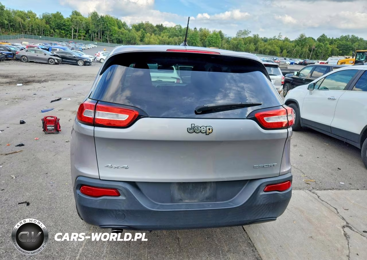 2014 Jeep Grand Cheroke VIN:1C4PJMAB2EW295738 - 6