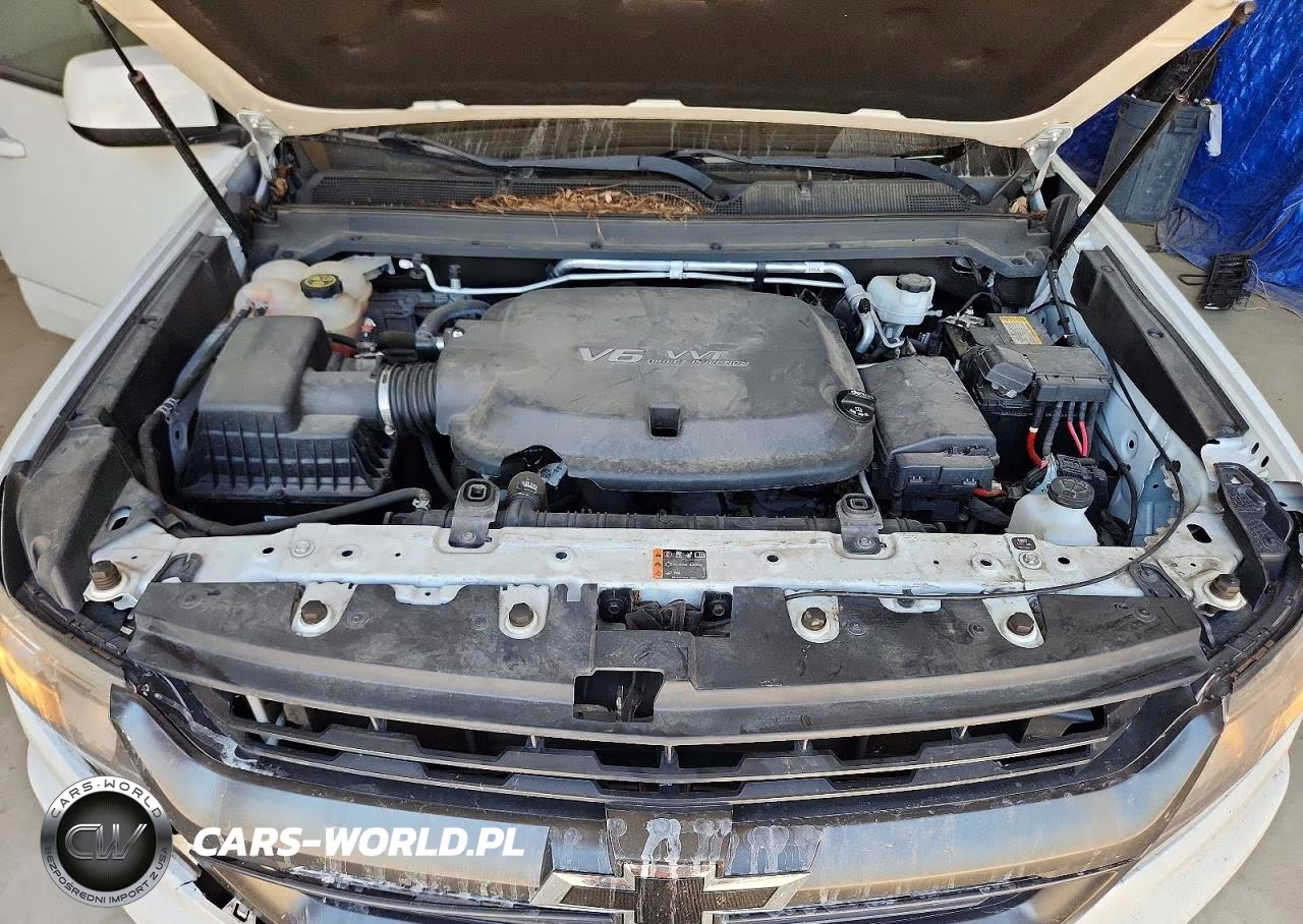 2019 Chevrolet Colorado Z71 VIN:1GCGTDEN0K1349514 - 11