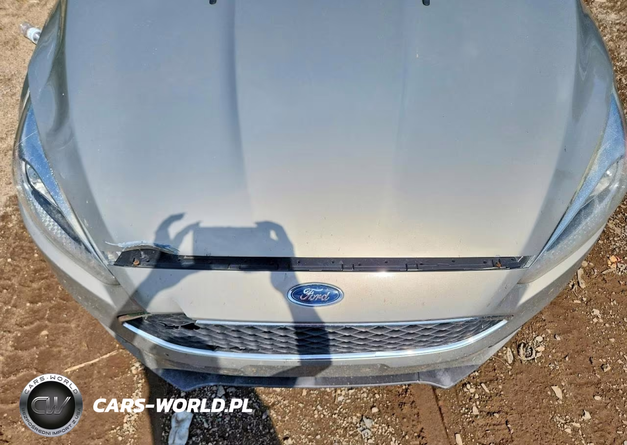 2016 Ford Focus Se VIN:1FADP3F28GL309821 - 11