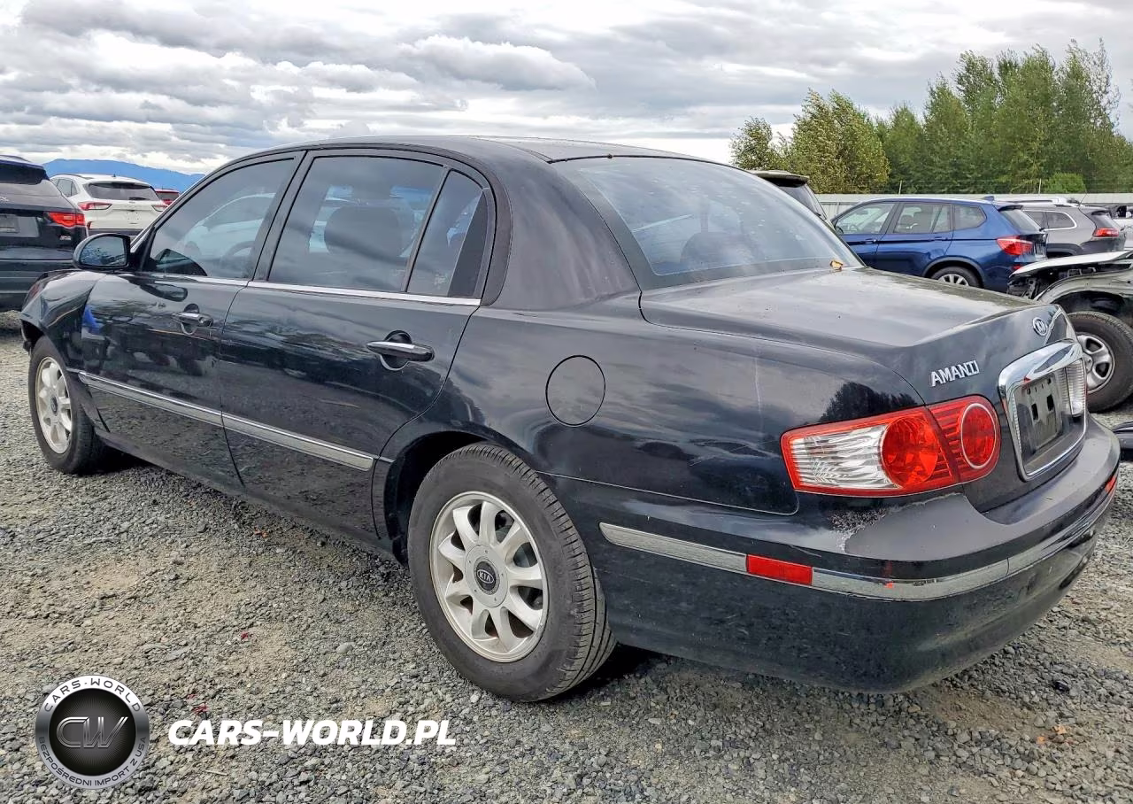 2005 Kia Amanti Base VIN:KNALD124355071921 - 2