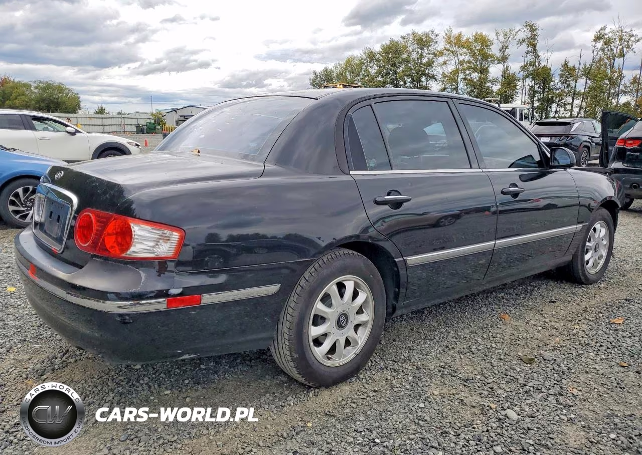 2005 Kia Amanti Base VIN:KNALD124355071921 - 3