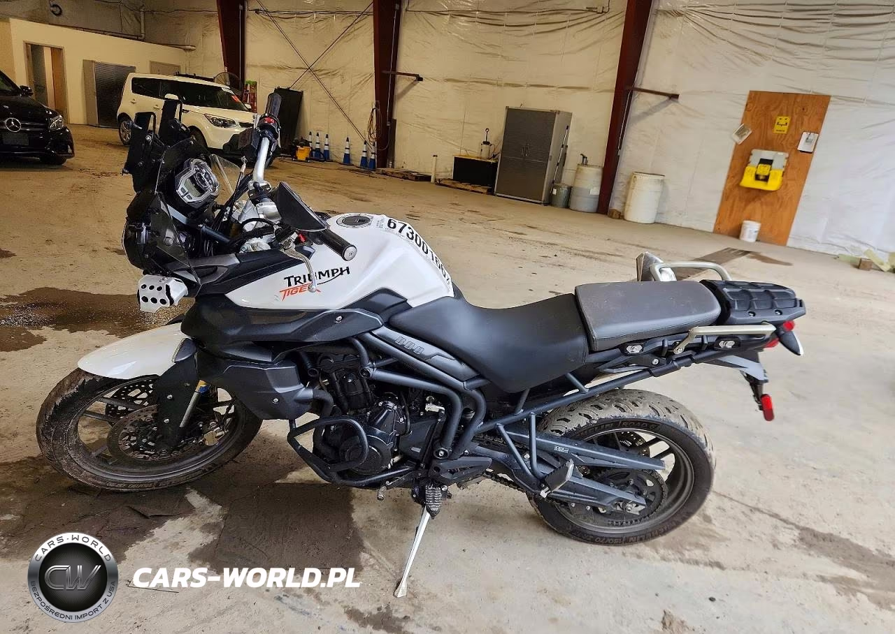 2013 Triumph Motorcycle Tiger 800 VIN:SMTE05BF8DJ566929 - 3