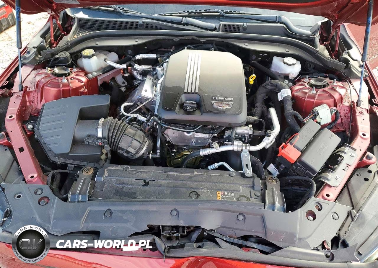 2023 Cadillac Ct5 Luxury VIN:1G6DW5RK7P0151559 - 11
