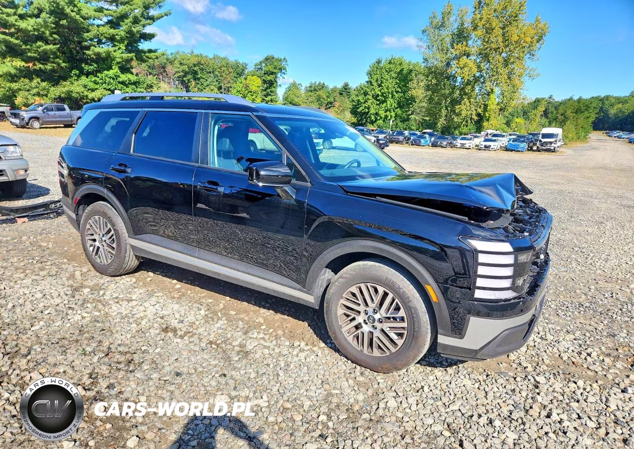 2026 Hyundai Palisade Sel VIN:KM8RLES22TU131207 - 4
