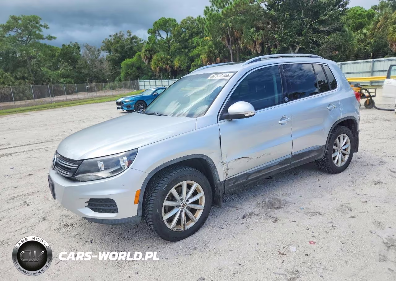 2017 Volkswagen Tiguan Wolfsburg