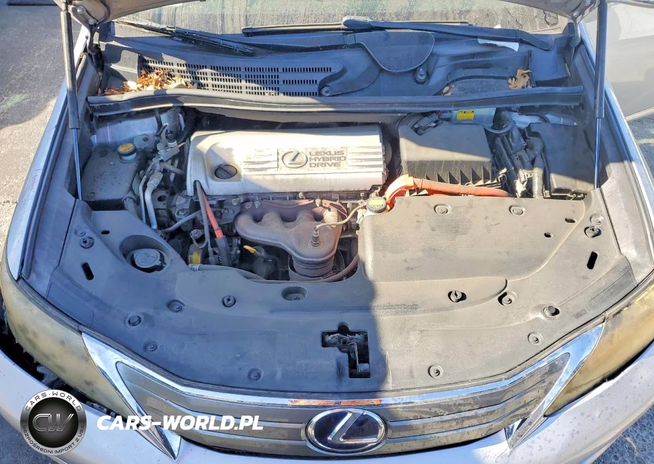2010 Lexus Hs 250H VIN:JTHBB1BA9A2025188 - 11