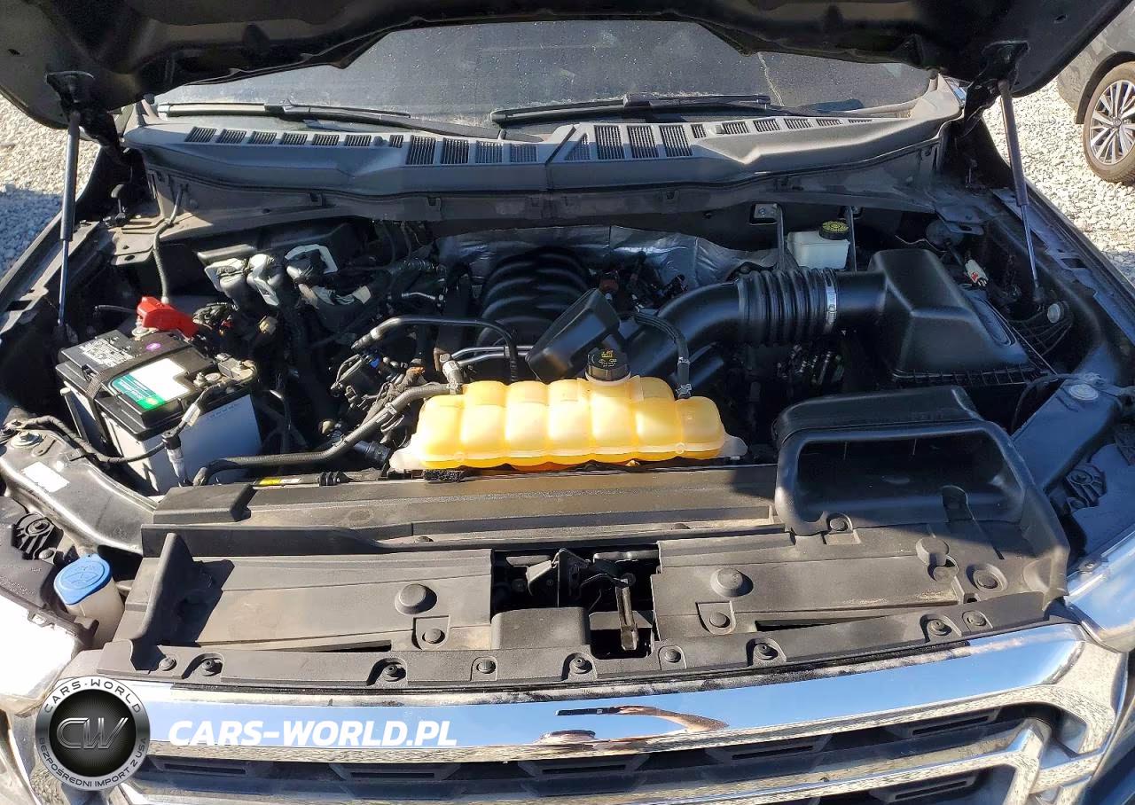 2021 Ford F150 Supercrew VIN:1FTFW1E51MFA44255 - 11