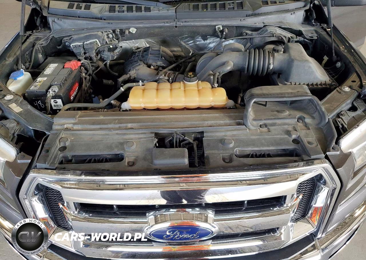 2016 Ford F150 Supercrew VIN:1FTEW1E8XGFD23245 - 11