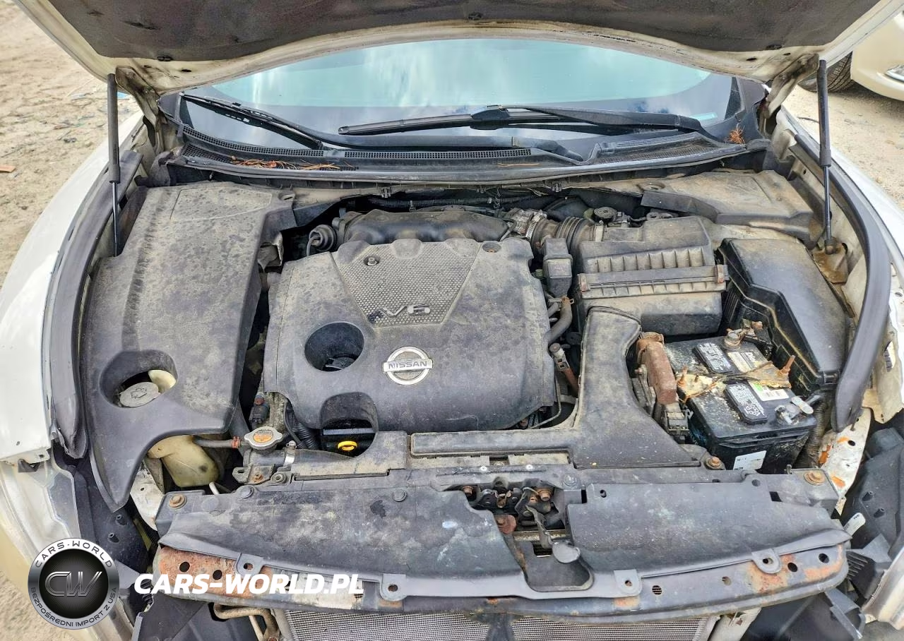 2009 Nissan Maxima 3.5 S VIN:1N4AA51E39C834239 - 11