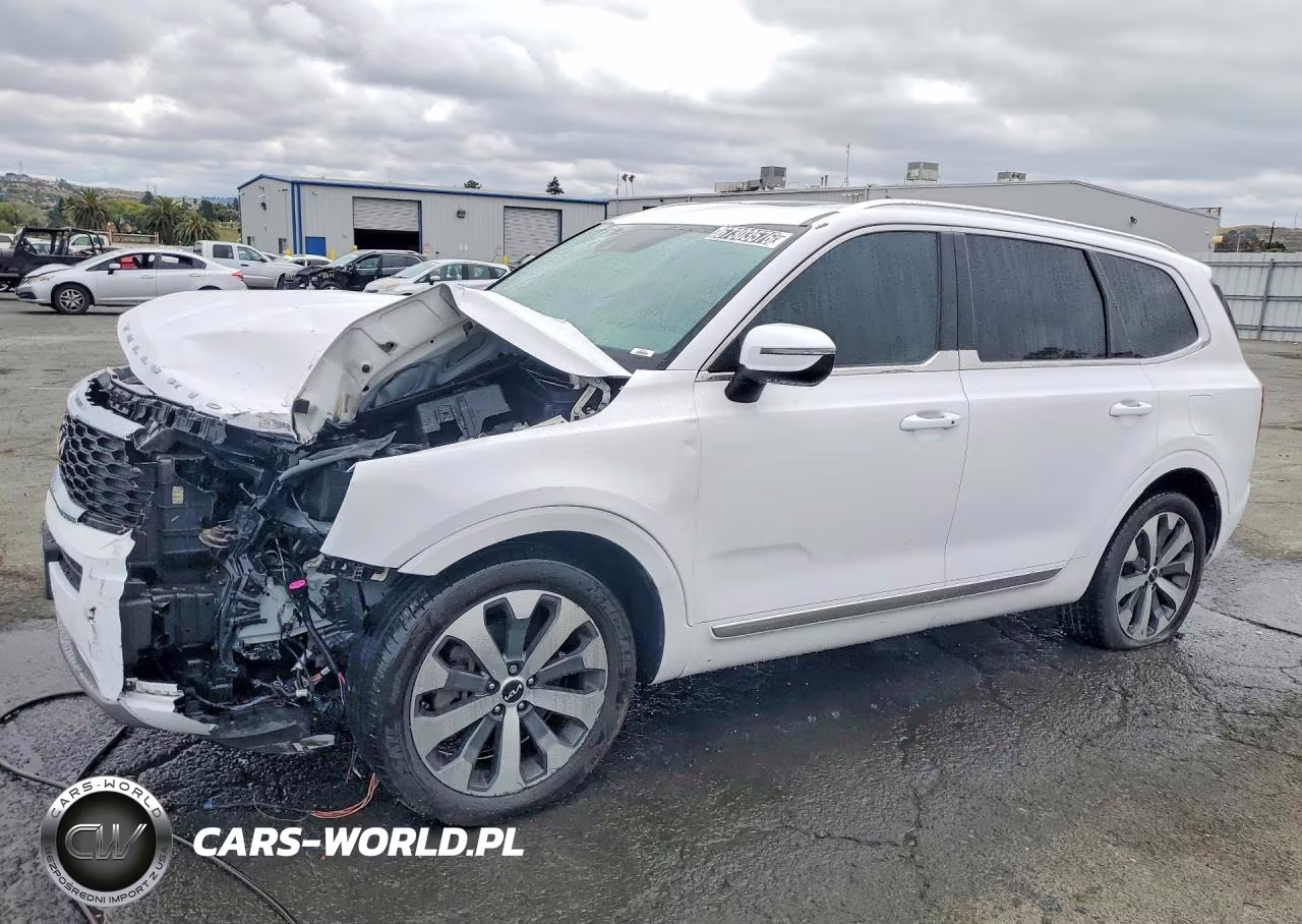 2022 Kia Telluride Ex VIN:5XYP34HC8NG213372 - 1
