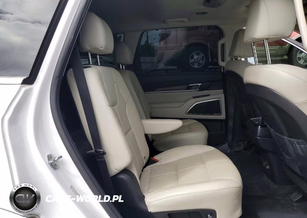 2022 Kia Telluride Ex VIN:5XYP34HC8NG213372 - 11