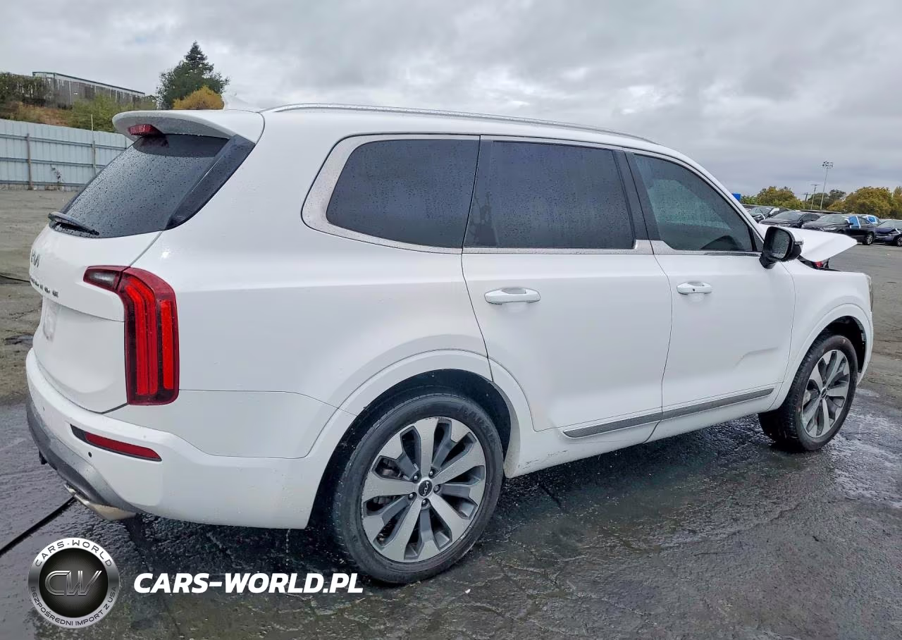 2022 Kia Telluride Ex VIN:5XYP34HC8NG213372 - 3