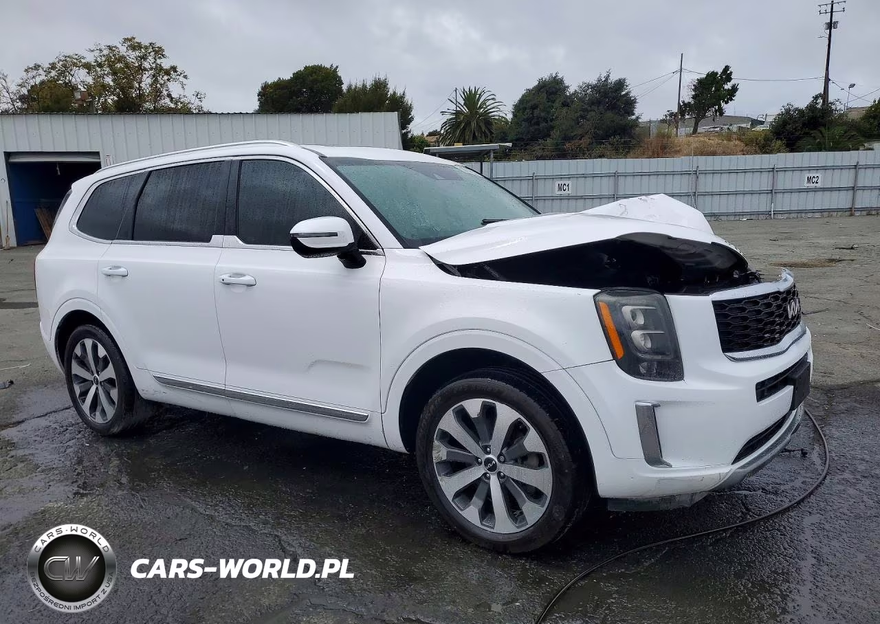 2022 Kia Telluride Ex VIN:5XYP34HC8NG213372 - 4