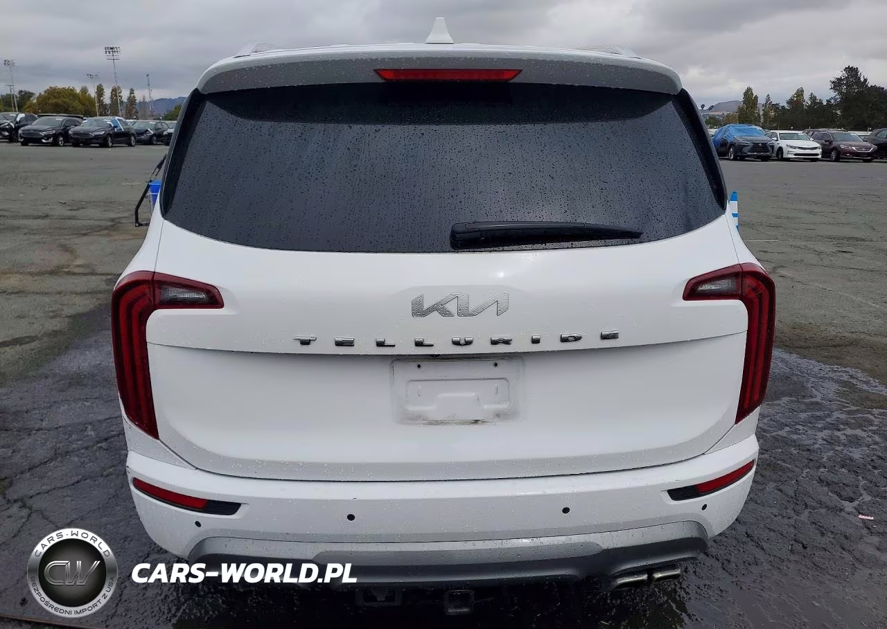 2022 Kia Telluride Ex VIN:5XYP34HC8NG213372 - 6