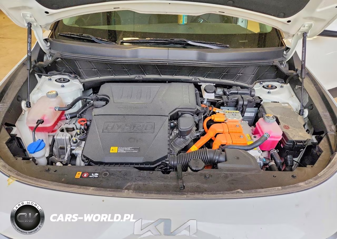 2023 Kia Niro Ex VIN:KNDCR3LE6P5052547 - 12