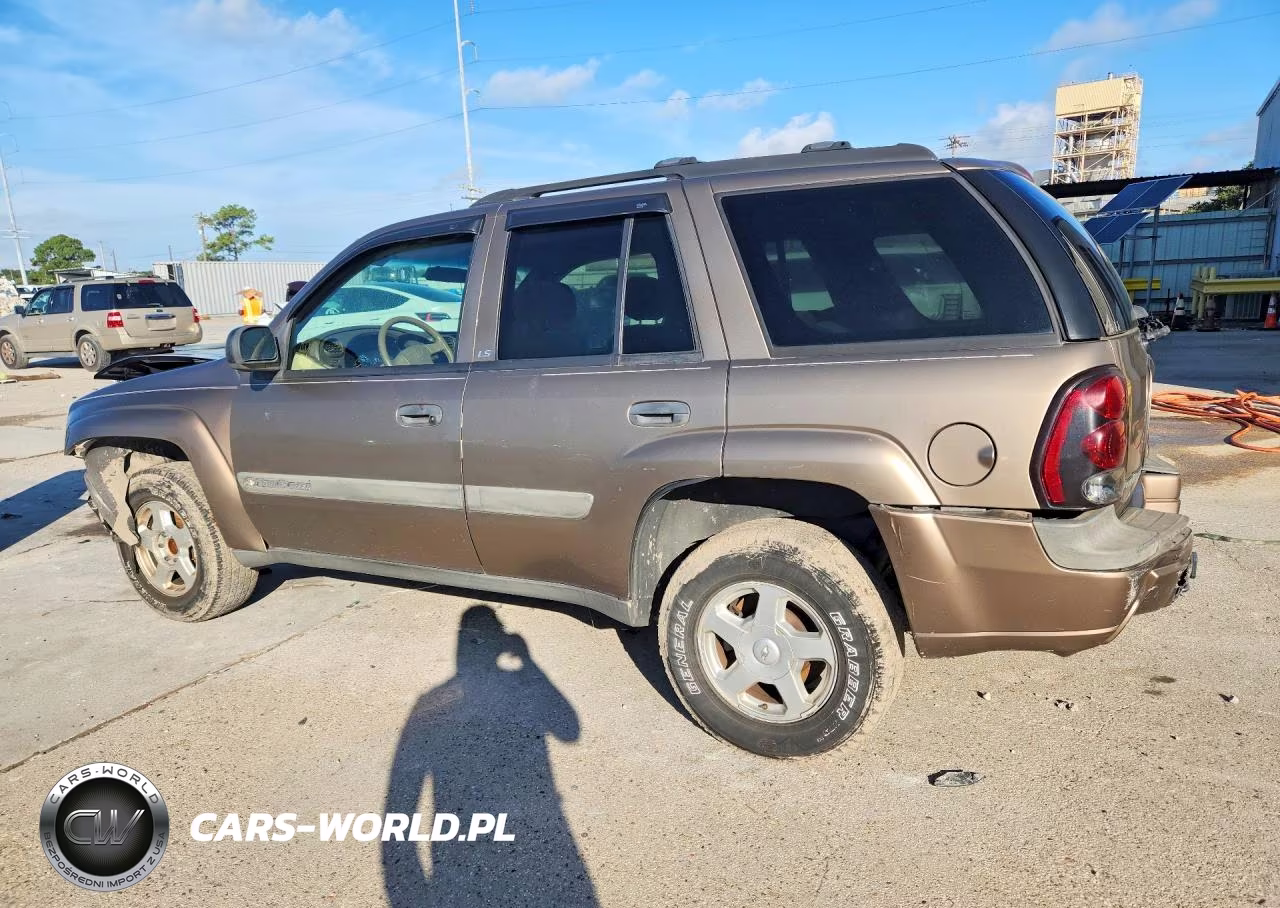 2003 Chevrolet Trailblazer VIN:1GNDS13S632306747 - 2