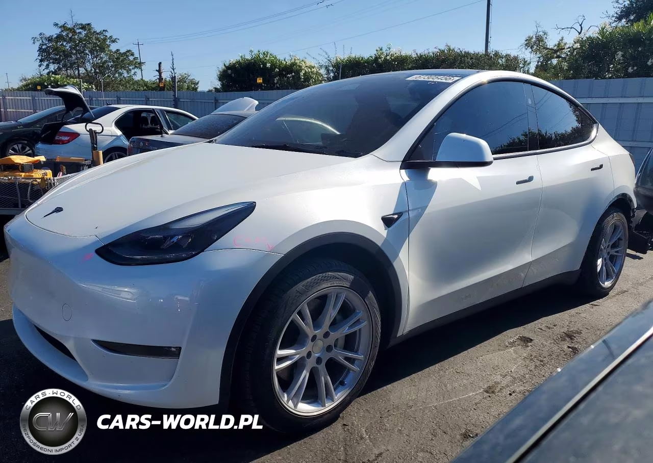 2024 Tesla Model Y VIN:7SAYGDEE0RF066981 - 1