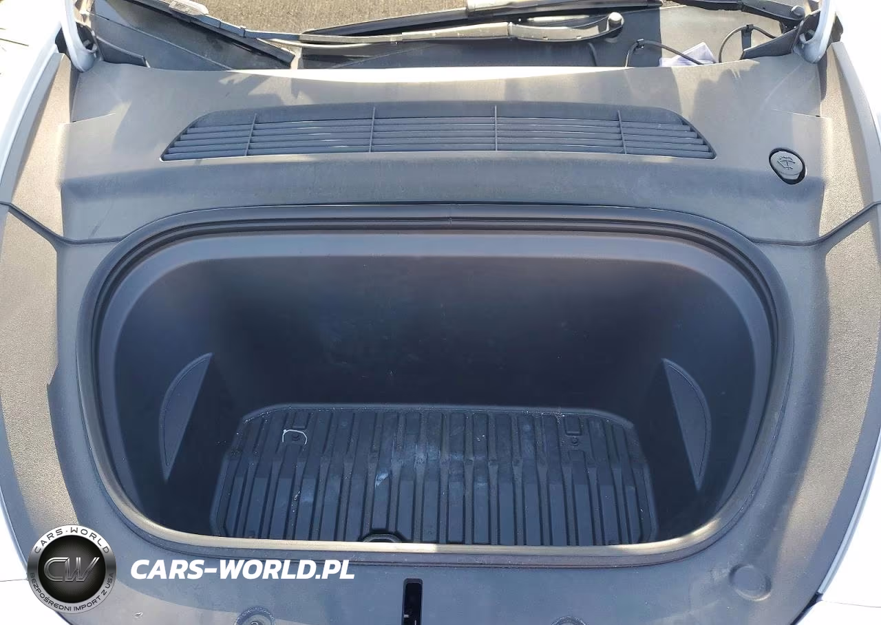 2024 Tesla Model Y VIN:7SAYGDEE0RF066981 - 11