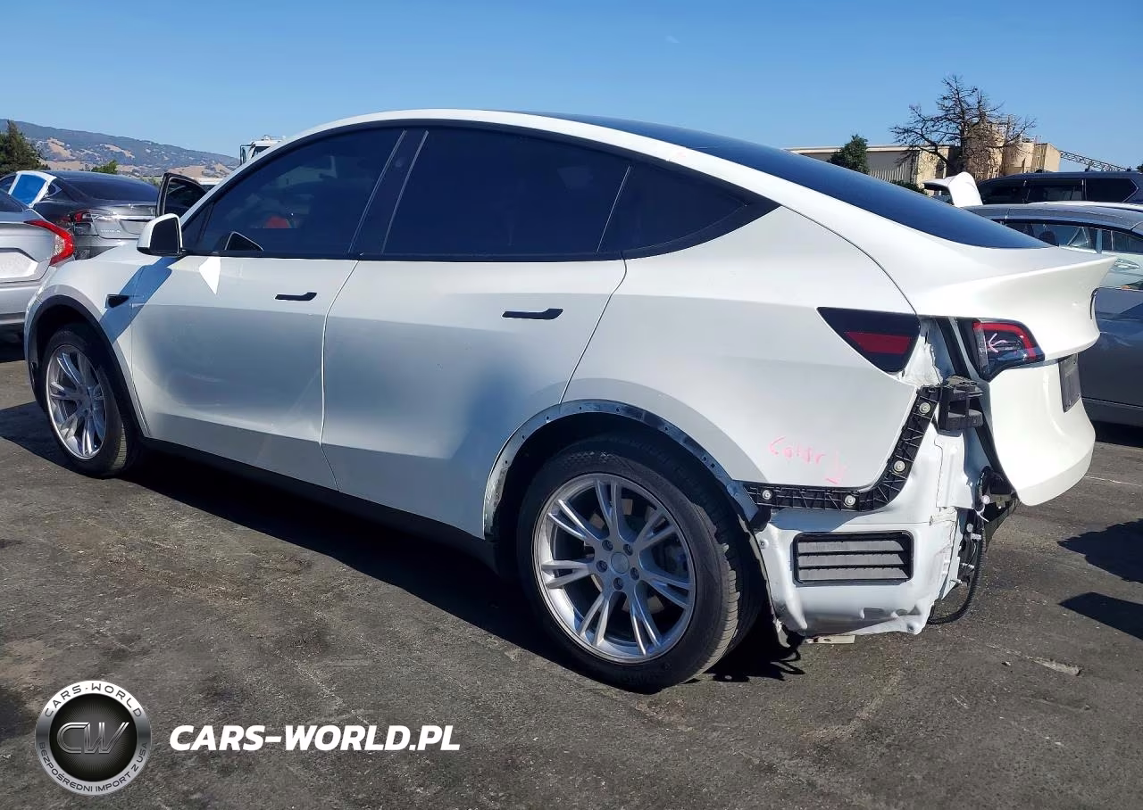 2024 Tesla Model Y VIN:7SAYGDEE0RF066981 - 2