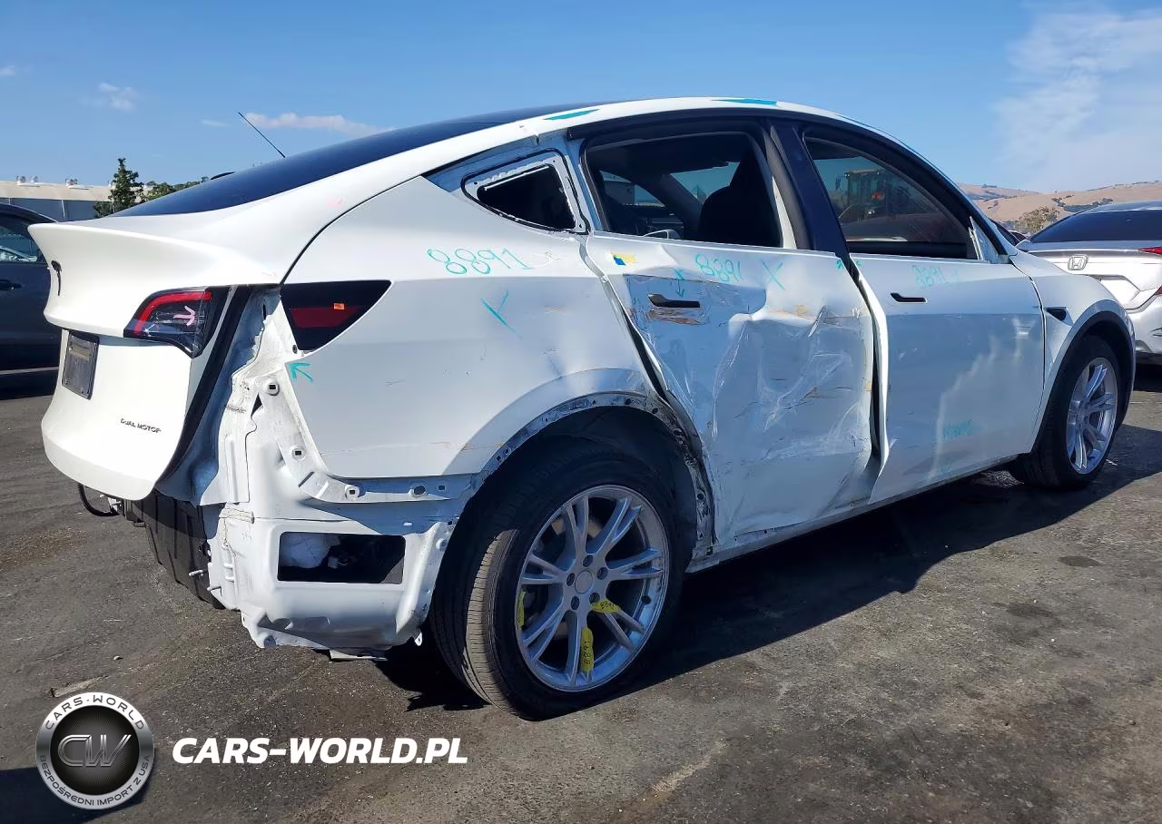 2024 Tesla Model Y VIN:7SAYGDEE0RF066981 - 3