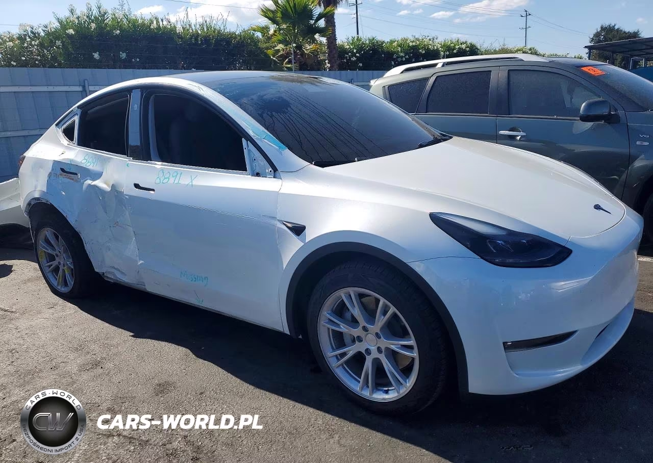 2024 Tesla Model Y VIN:7SAYGDEE0RF066981 - 4
