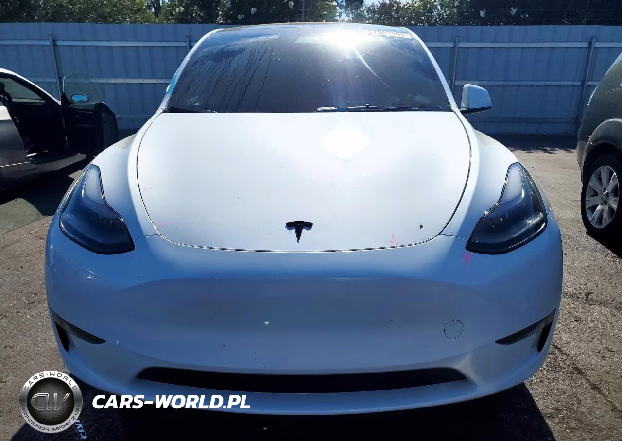2024 Tesla Model Y VIN:7SAYGDEE0RF066981 - 5