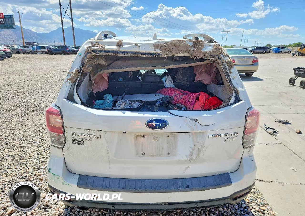 2018 Subaru Forester 2.0Xt Touring VIN:JF2SJGWC5JH555515 - 6