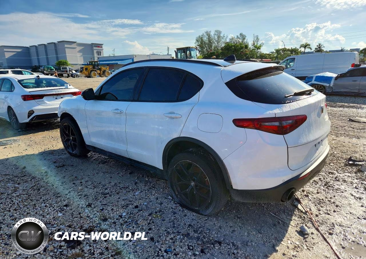 2019 Alfa Romeo Stelvio VIN:ZASPAJAN3K7C71678 - 2
