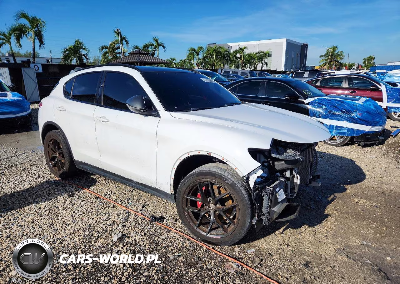 2019 Alfa Romeo Stelvio VIN:ZASPAJAN3K7C71678 - 4