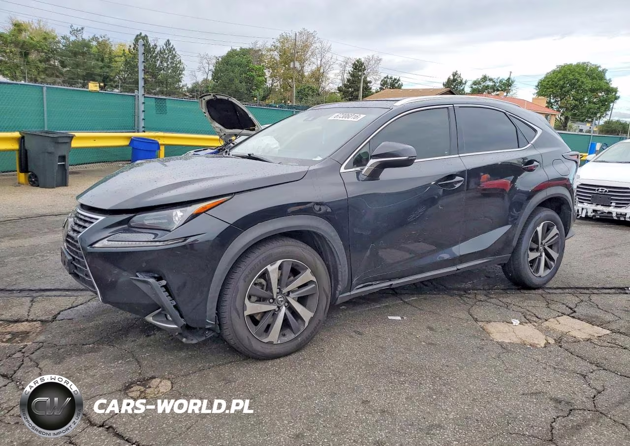 2018 Lexus Nx 300 Base VIN:JTJYARBZ8J2111964 - 1