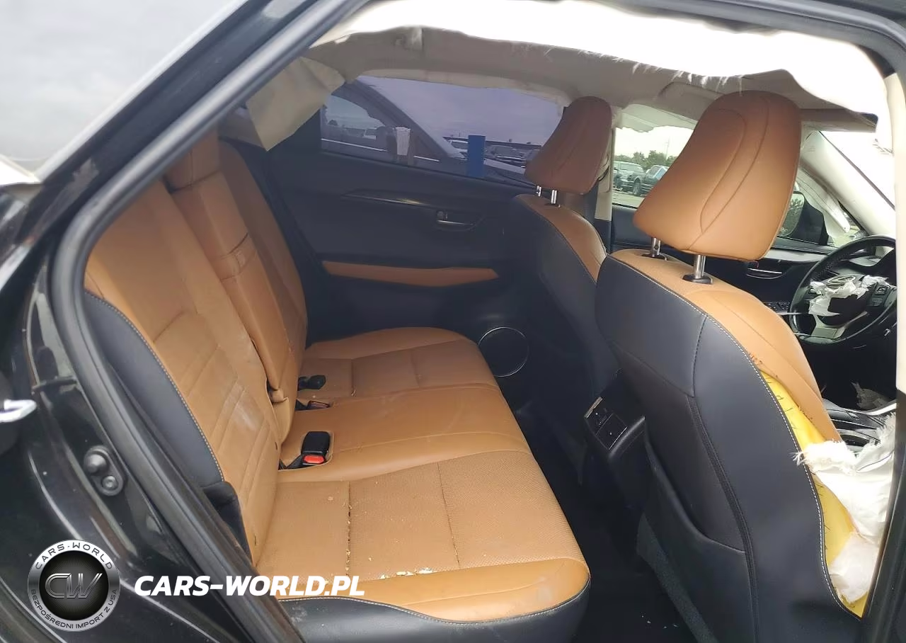2018 Lexus Nx 300 Base VIN:JTJYARBZ8J2111964 - 10