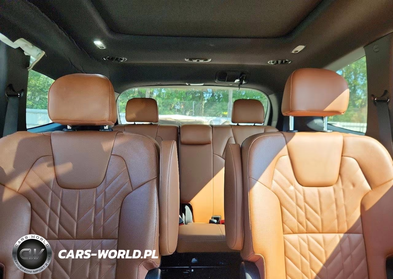 2024 Kia Telluride Sx X-Line VIN:5XYP5DGCXRG519331 - 10