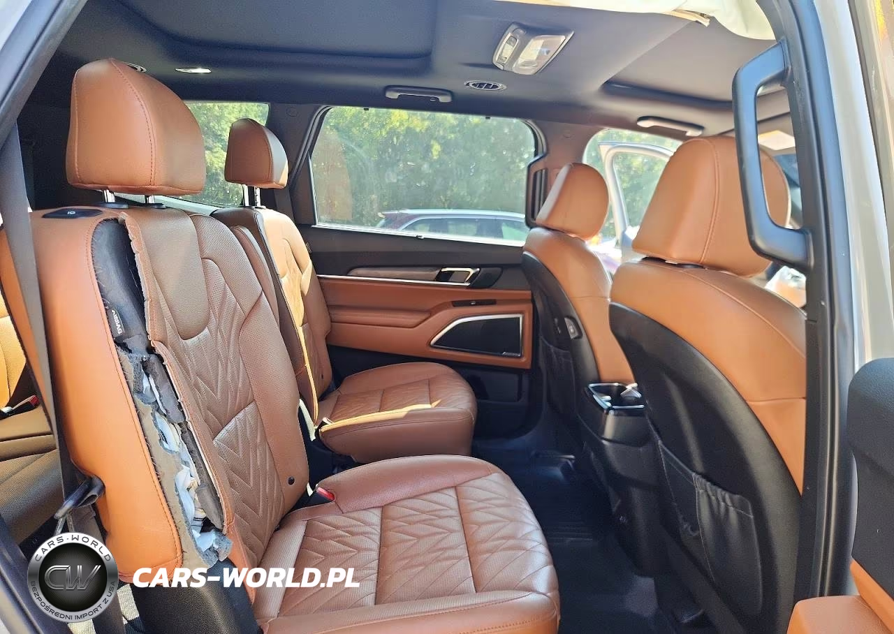 2024 Kia Telluride Sx X-Line VIN:5XYP5DGCXRG519331 - 11