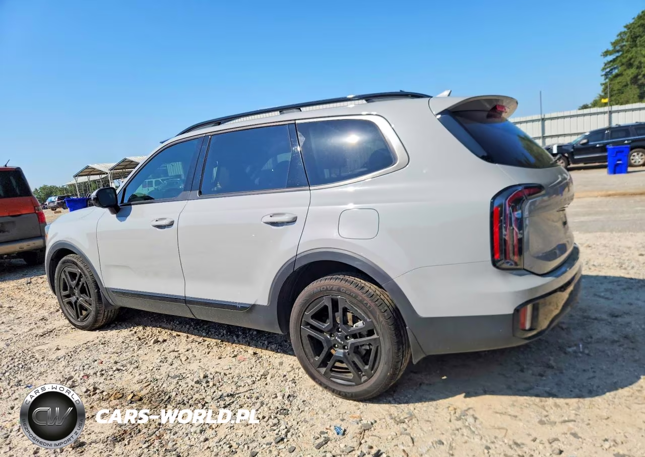 2024 Kia Telluride Sx X-Line VIN:5XYP5DGCXRG519331 - 2