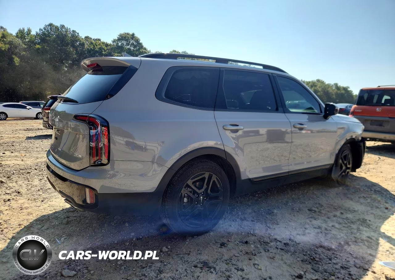 2024 Kia Telluride Sx X-Line VIN:5XYP5DGCXRG519331 - 3